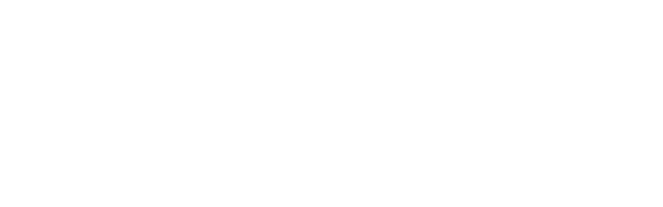 NWSPL Logo White